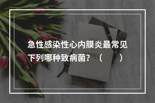 急性感染性心内膜炎最常见下列哪种致病菌？（　　）