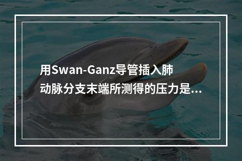 用Swan-Ganz导管插入肺动脉分支末端所测得的压力是（