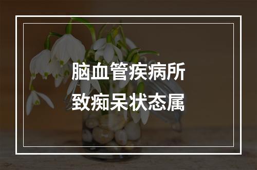 脑血管疾病所致痴呆状态属