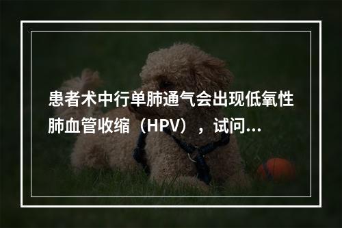 患者术中行单肺通气会出现低氧性肺血管收缩（HPV），试问下列