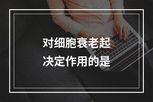 对细胞衰老起决定作用的是