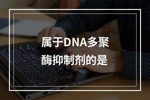 属于DNA多聚酶抑制剂的是