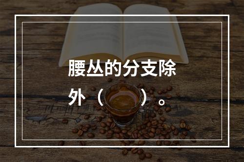 腰丛的分支除外（　　）。