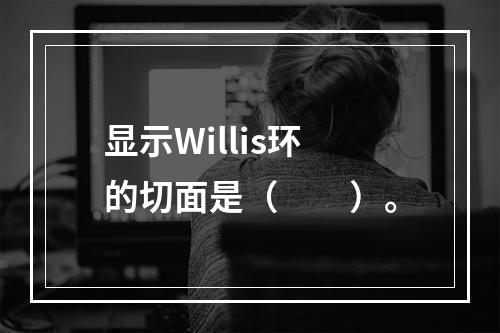 显示Willis环的切面是（　　）。