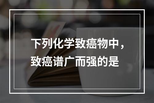 下列化学致癌物中，致癌谱广而强的是