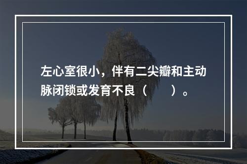 左心室很小，伴有二尖瓣和主动脉闭锁或发育不良（　　）。