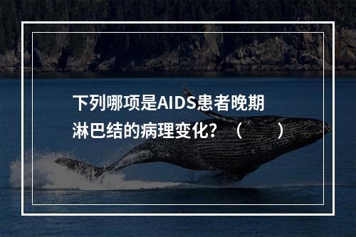 下列哪项是AIDS患者晚期淋巴结的病理变化？（　　）