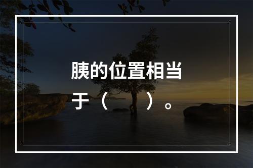 胰的位置相当于（　　）。