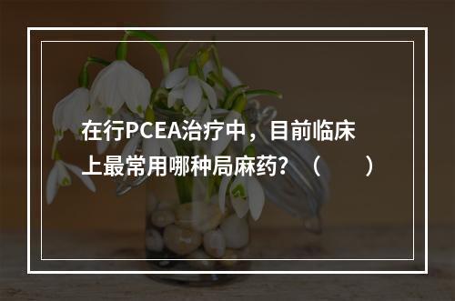 在行PCEA治疗中，目前临床上最常用哪种局麻药？（　　）