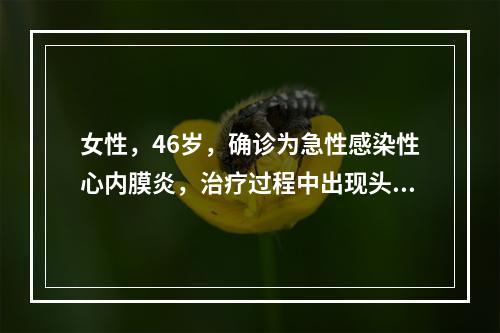 女性，46岁，确诊为急性感染性心内膜炎，治疗过程中出现头痛