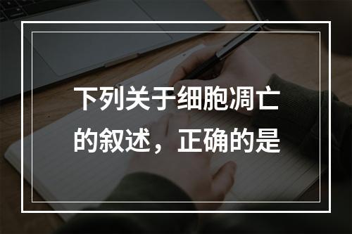 下列关于细胞凋亡的叙述，正确的是