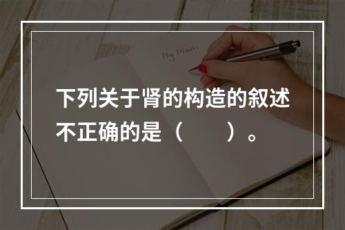 下列关于肾的构造的叙述不正确的是（　　）。