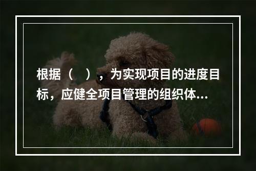 根据（　），为实现项目的进度目标，应健全项目管理的组织体系。