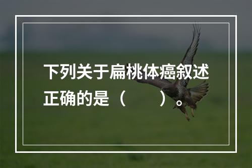 下列关于扁桃体癌叙述正确的是（　　）。