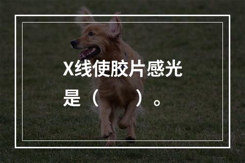 X线使胶片感光是（　　）。