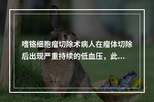 嗜铬细胞瘤切除术病人在瘤体切除后出现严重持续的低血压，此时