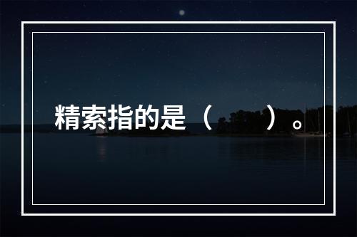 精索指的是（　　）。