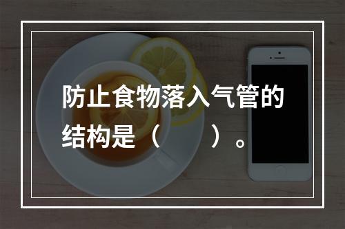 防止食物落入气管的结构是（　　）。