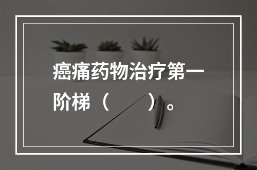 癌痛药物治疗第一阶梯（　　）。