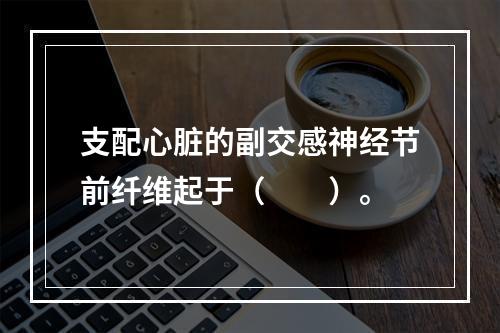 支配心脏的副交感神经节前纤维起于（　　）。