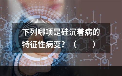 下列哪项是硅沉着病的特征性病变？（　　）