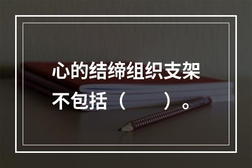 心的结缔组织支架不包括（　　）。