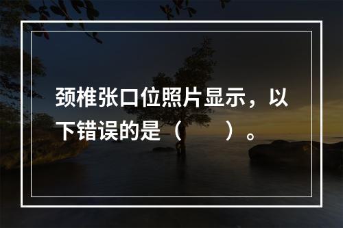 颈椎张口位照片显示，以下错误的是（　　）。