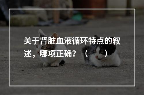 关于肾脏血液循环特点的叙述，哪项正确？（　　）