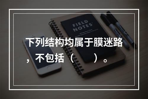 下列结构均属于膜迷路，不包括（　　）。