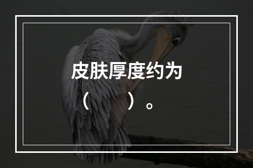 皮肤厚度约为（　　）。