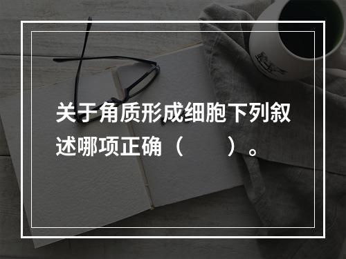 关于角质形成细胞下列叙述哪项正确（　　）。