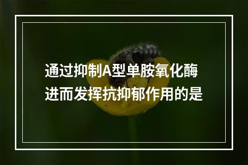 通过抑制A型单胺氧化酶进而发挥抗抑郁作用的是