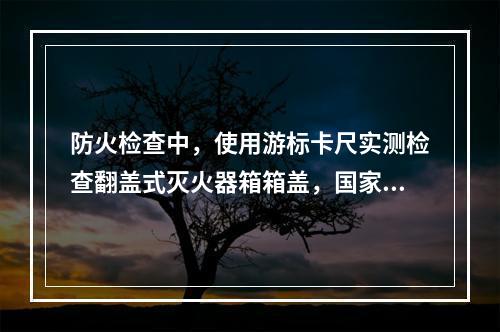 防火检查中，使用游标卡尺实测检查翻盖式灭火器箱箱盖，国家工程