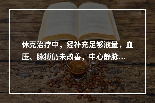 休克治疗中，经补充足够液量，血压、脉搏仍未改善，中心静脉压＞