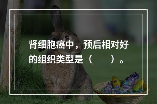 肾细胞癌中，预后相对好的组织类型是（　　）。