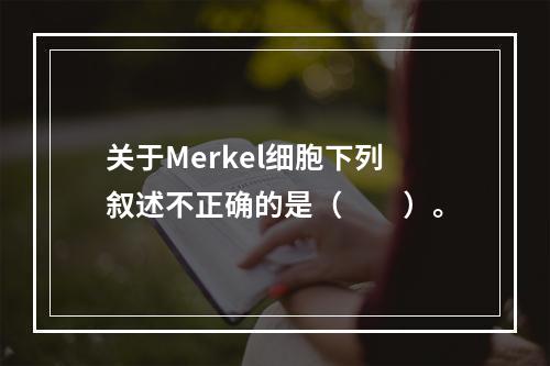 关于Merkel细胞下列叙述不正确的是（　　）。