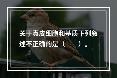 关于真皮细胞和基质下列叙述不正确的是（　　）。