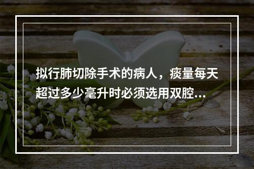 拟行肺切除手术的病人，痰量每天超过多少毫升时必须选用双腔支