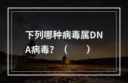 下列哪种病毒属DNA病毒？（　　）