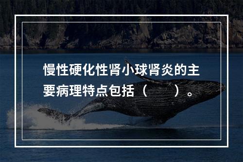 慢性硬化性肾小球肾炎的主要病理特点包括（　　）。