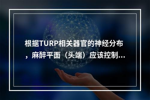 根据TURP相关器官的神经分布，麻醉平面（头端）应该控制在哪