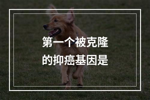 第一个被克隆的抑癌基因是