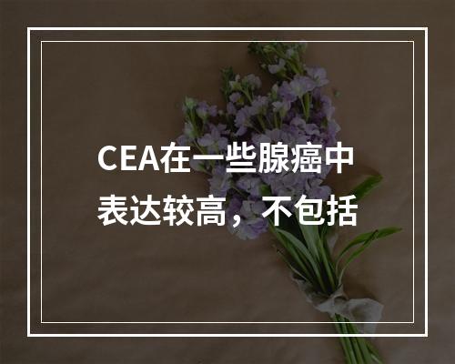 CEA在一些腺癌中表达较高，不包括