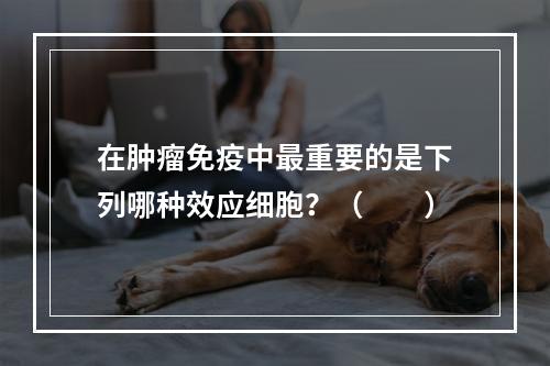 在肿瘤免疫中最重要的是下列哪种效应细胞？（　　）