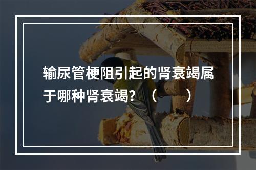 输尿管梗阻引起的肾衰竭属于哪种肾衰竭？（　　）