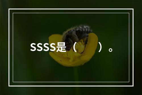 SSSS是（　　）。