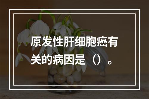 原发性肝细胞癌有关的病因是（）。