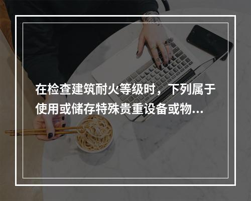 在检查建筑耐火等级时，下列属于使用或储存特殊贵重设备或物品建