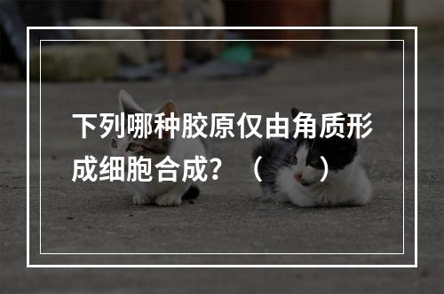 下列哪种胶原仅由角质形成细胞合成？（　　）