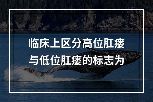 临床上区分高位肛瘘与低位肛瘘的标志为